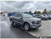 2022 Ford F-150 Platinum (Stk: 164087) in London - Image 26 of 26