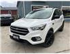 2019 Ford Escape SE (Stk: 36092) in Belmont - Image 2 of 22 2019 Ford Escape SE (Stk: 36092) in Belmont - Image 2 of 22
