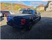 2023 Ford F-150 XLT (Stk: ZXLT) in Sudbury - Image 5 of 22