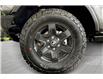 2025 Ford Bronco Big Bend (Stk: 25BR7376) in Vancouver - Image 11 of 14