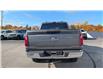 2025 Ford F-150 XLT (Stk: F1365) in Miramichi - Image 5 of 14