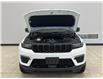 2025 Jeep Grand Cherokee Limited (Stk: 8749080) in Courtenay - Image 9 of 16