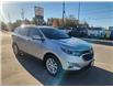 2019 Chevrolet Equinox LT (Stk: TS527A) in Blenheim - Image 8 of 12