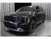 2026 Kia Carnival EX (Stk: 26662) in Edmonton - Image 6 of 29