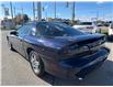 1998 Chevrolet Camaro Base (Stk: P2059A) in Newmarket - Image 14 of 30