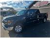 2023 Ford F-150 XLT in Sussex - Image 2 of 13