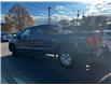 2023 Ford F-150 XLT in Sussex - Image 3 of 13