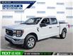 2023 Ford F-150 XLT (Stk: P7484LA) in Dartmouth - Image 1 of 26