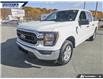 2023 Ford F-150 XLT (Stk: P7484LA) in Dartmouth - Image 8 of 26