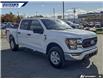 2023 Ford F-150 XLT (Stk: P7484LA) in Dartmouth - Image 26 of 26
