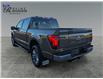 2025 Ford F-150 Lariat (Stk: S9830) in ROSETOWN - Image 5 of 17