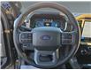 2025 Ford F-150 Lariat (Stk: S9828) in ROSETOWN - Image 14 of 17