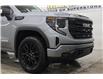 2026 GMC Sierra 1500 Elevation (Stk: T3167) in Watrous - Image 17 of 47