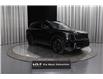 2025 Kia Sorento 2.5T X-Pro w/Olive Brown Interior (Stk: 26685) in Edmonton - Image 1 of 36
