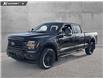 2025 Ford F-150 XLT (Stk: 25T8854) in Red Deer - Image 1 of 24