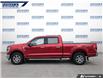 2022 Ford F-150 XLT (Stk: P6497) in Dartmouth - Image 3 of 24