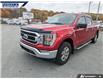 2022 Ford F-150 XLT (Stk: P6497) in Dartmouth - Image 7 of 24