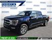 2023 Ford F-150 Platinum (Stk: P5541) in Dartmouth - Image 1 of 24