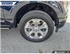 2023 Ford F-150 Platinum (Stk: P5541) in Dartmouth - Image 6 of 24