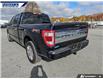 2023 Ford F-150 Platinum (Stk: P5541) in Dartmouth - Image 9 of 24