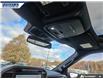 2023 Ford F-150 Platinum (Stk: P5541) in Dartmouth - Image 19 of 24