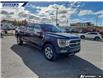 2023 Ford F-150 Platinum (Stk: P5541) in Dartmouth - Image 24 of 24