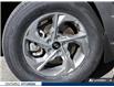 2024 Hyundai Tucson Trend (Stk: 7-U1066) in Whitby - Image 6 of 27