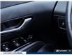 2024 Hyundai Tucson Trend (Stk: 7-U1066) in Whitby - Image 17 of 27