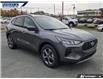 2025 Ford Escape ST-Line (Stk: 27686) in Dartmouth - Image 24 of 24