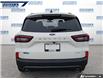 2025 Ford Escape ST-Line (Stk: 27890) in Dartmouth - Image 5 of 24