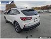 2025 Ford Escape ST-Line (Stk: 27890) in Dartmouth - Image 9 of 24