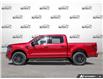 2025 Ford F-150 XLT (Stk: FH241) in Sault Ste. Marie - Image 3 of 22