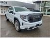 2026 GMC Sierra 1500 Denali Ultimate (Stk: Z168194) in Newmarket - Image 3 of 21
