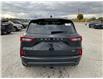 2026 Ford Escape ST-Line Elite (Stk: SPEP00625) in Leamington - Image 5 of 30