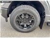 2025 Ford F-150 STX (Stk: 25T1278) in Red Deer - Image 6 of 24