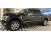 2025 Ford F-150 Platinum (Stk: C00461) in North Bay - Image 2 of 30