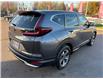 2020 Honda CR-V LX (Stk: A-000760) in Moncton - Image 5 of 20