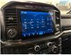 2022 Ford F-150 XLT (Stk: C0046) in Saint-Eustache - Image 17 of 29