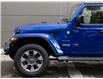 2019 Jeep Wrangler Unlimited Sahara (Stk: TL2956) in Windsor - Image 3 of 28