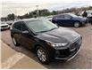 2023 Ford Escape Active (Stk: 24623) in Pembroke - Image 6 of 28