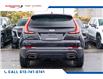 2021 Cadillac XT4 Luxury (Stk: R26788A) in Ottawa - Image 8 of 22