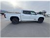 2026 Toyota Tundra Platinum (Stk: X336327) in Cranbrook - Image 6 of 21