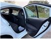 2024 Toyota Corolla LE (Stk: 16067) in Newmarket - Image 37 of 49