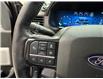 2025 Ford F-150 Platinum (Stk: C1480) in Saint-Eustache - Image 17 of 28