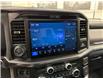 2025 Ford F-150 Platinum (Stk: C1480) in Saint-Eustache - Image 20 of 28