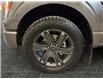 2023 Ford F-150 Lariat (Stk: S9812A) in ROSETOWN - Image 17 of 17