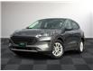 2021 Ford Escape SE Hybrid (Stk: PR44736A) in Windsor - Image 1 of 27