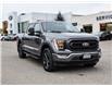 2022 Ford F-150 XLT (Stk: VF1F01184A) in Chatham - Image 7 of 30 2022 Ford F-150 XLT (Stk: VF1F01184A) in Chatham - Image 7 of 30