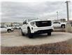 2026 GMC Sierra 1500 Elevation (Stk: TG118810) in Calgary - Image 8 of 24