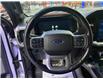 2021 Ford F-150 Lariat (Stk: 25445A) in Melfort - Image 19 of 20